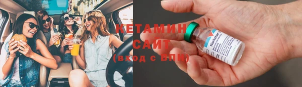 соль ск Дмитриев