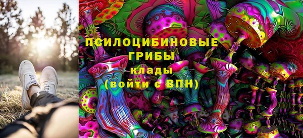гидропоника Алексеевка