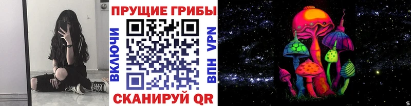 MEGA онион  Андреаполь  Псилоцибиновые грибы Magic Shrooms 