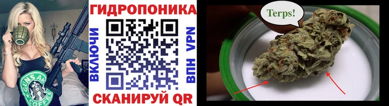 Канабис MAZAR  Андреаполь 